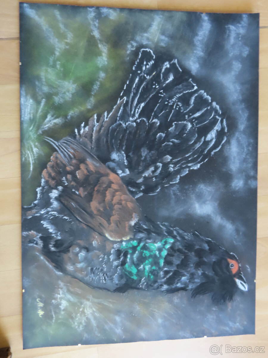 Srnčí parůžky - 19