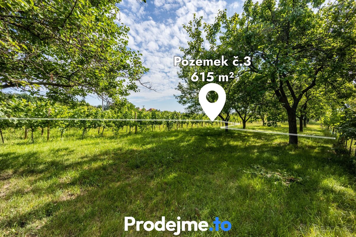 Prodej rodinného domu 2+kk, Nový Šaldorf-Sedlešovice - 19
