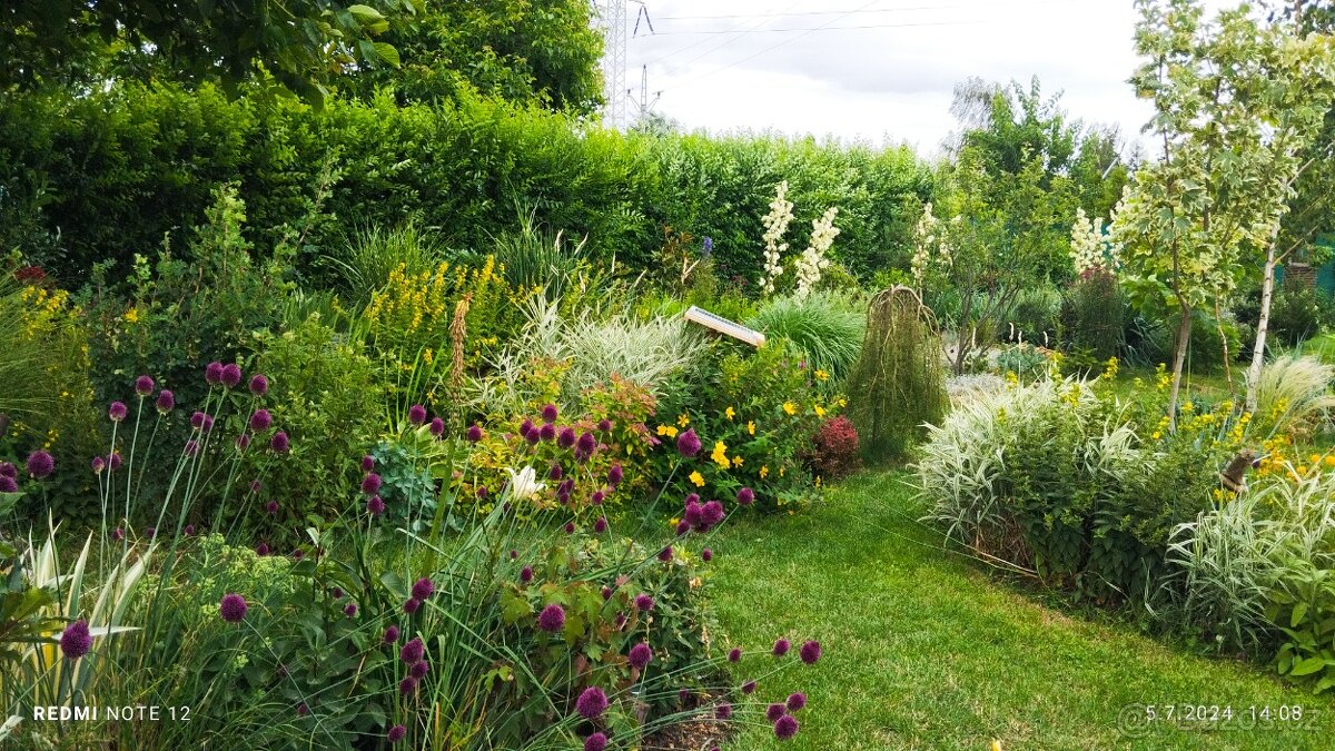 Prodej chaty se zahradou - 19