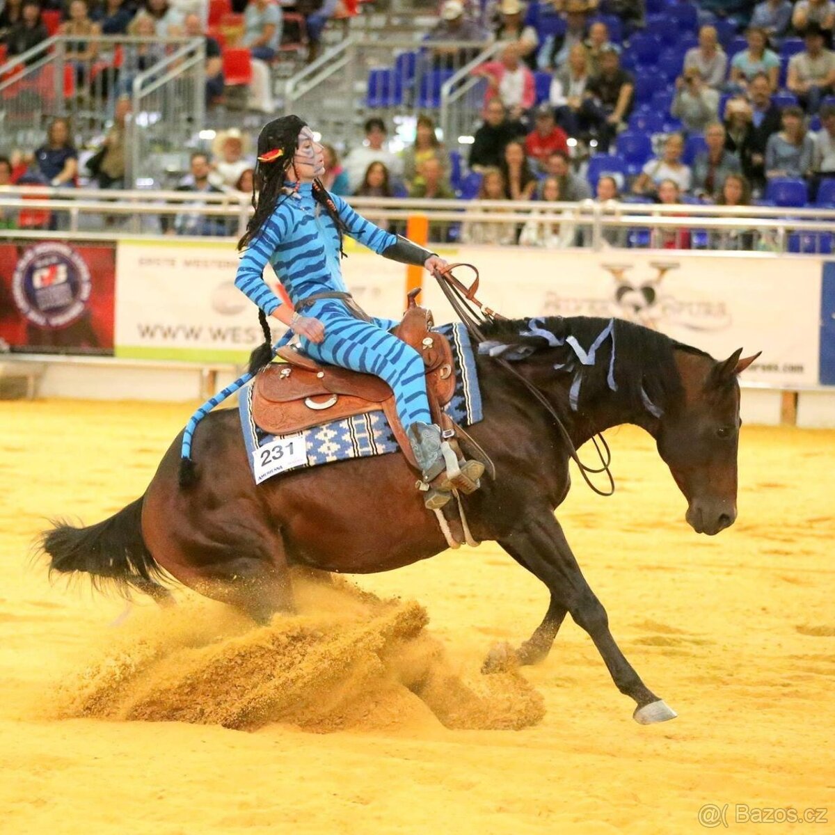 Appaloosa klisna - 19