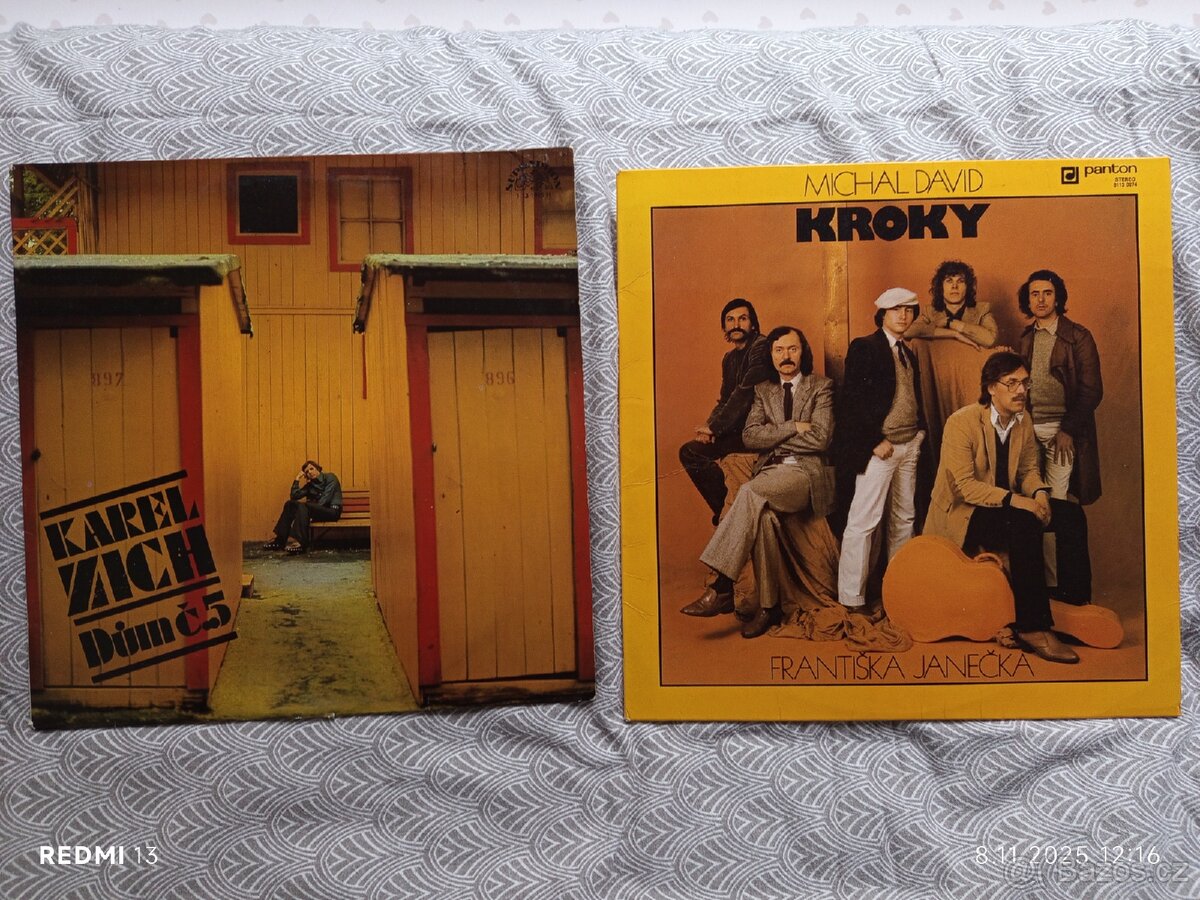 Gramofonové desky - 19