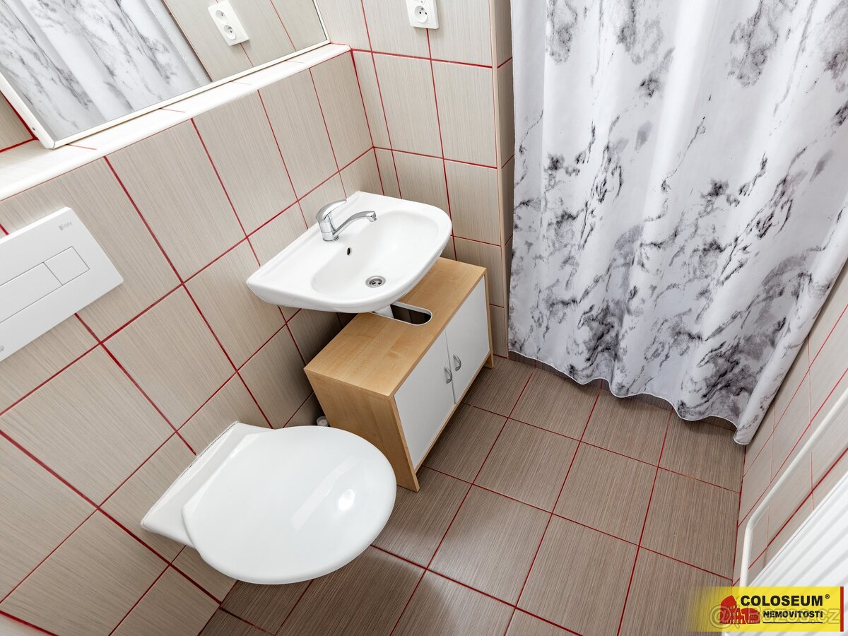 Velké Pavlovice - RD vícegenerační, zahrada, rekonstrukce – - 19