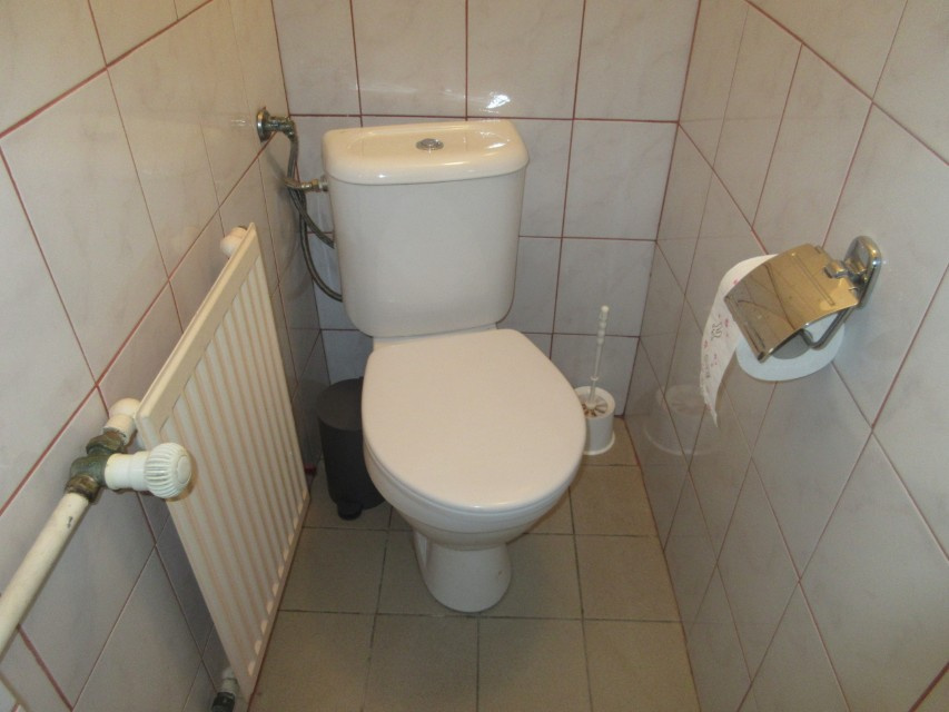 NA PRODEJ - RD SKÁLY U PROTIVÍNA (PÍSECKO) - 19