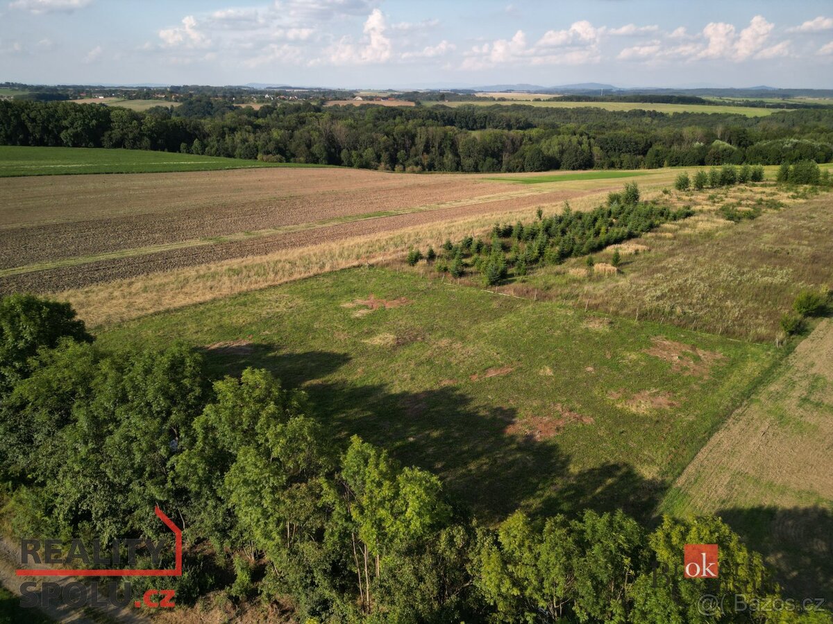 Prodej, pozemky/bydlení, 3000 m2, Lično , Bačalky, Jičín [ID - 19