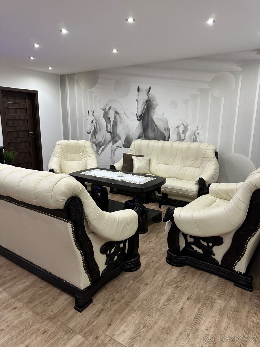 SLEVA-Luxusní-akční cena-komplet, v záruce - 19