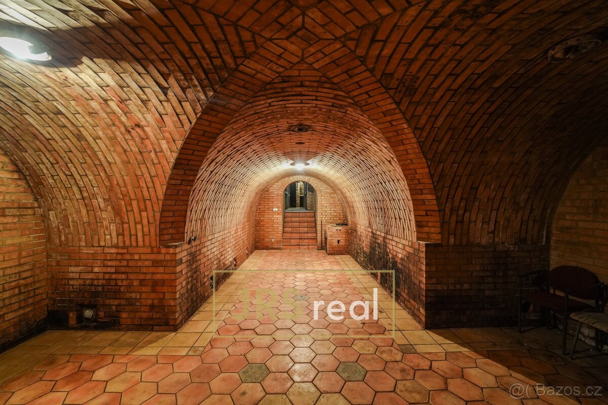 Prodej vinného sklepu s ubytováním, Milotice (Šidleny) - 19