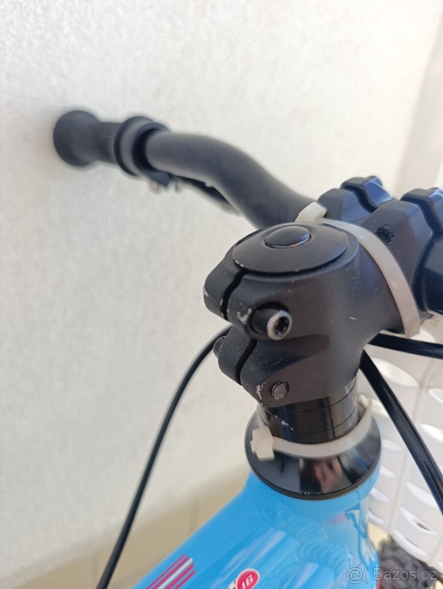 Author Record 16" - 19