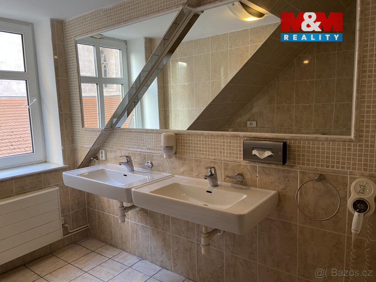 Pronájem apartmánu, 110 m², Plzeň, ul. Zbrojnická - 19