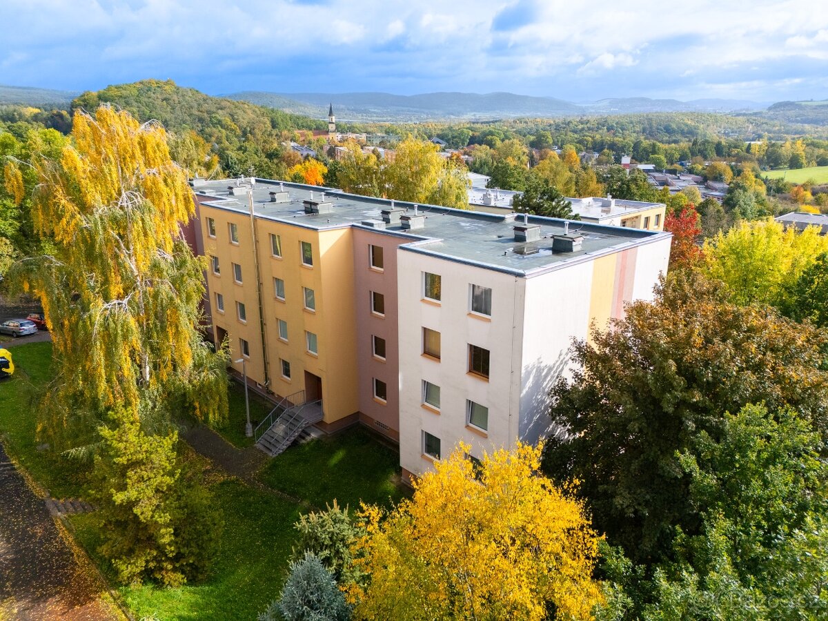 Prodej bytu 2+kk 48 m² Alejní, Chlumec - 19