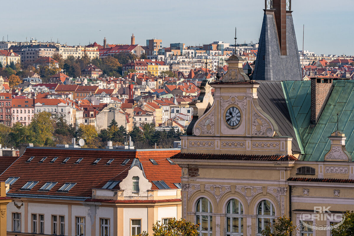 PRODEJ BYTU 2+1/3+kk, 89 m², BALKON + LODŽIE, POD SOKOLOVNO - 19