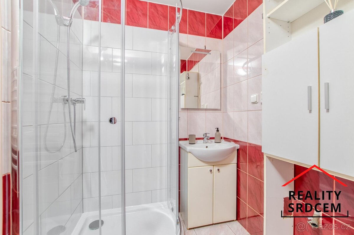 Pronájem bytu 2+1 s lodžií i balkonem, 60 m2, Žižkova, Karvi - 19