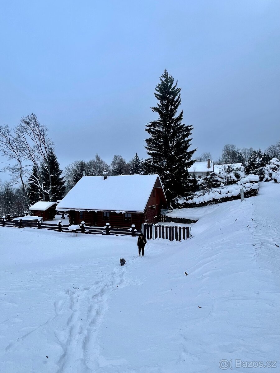 Kanadský srub na prodej - 19