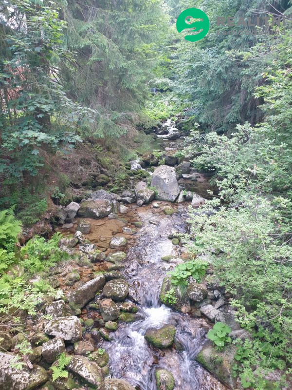 Dům či dva apartmány Desná - 19