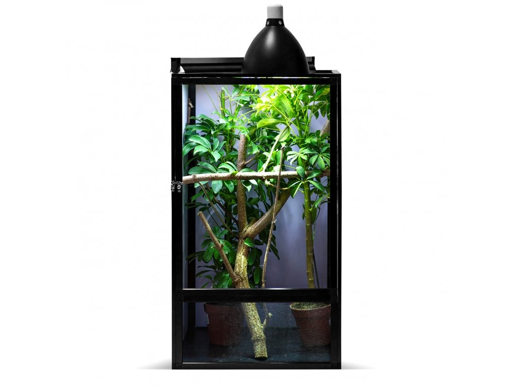 chameleon pardálí, terárium - 19