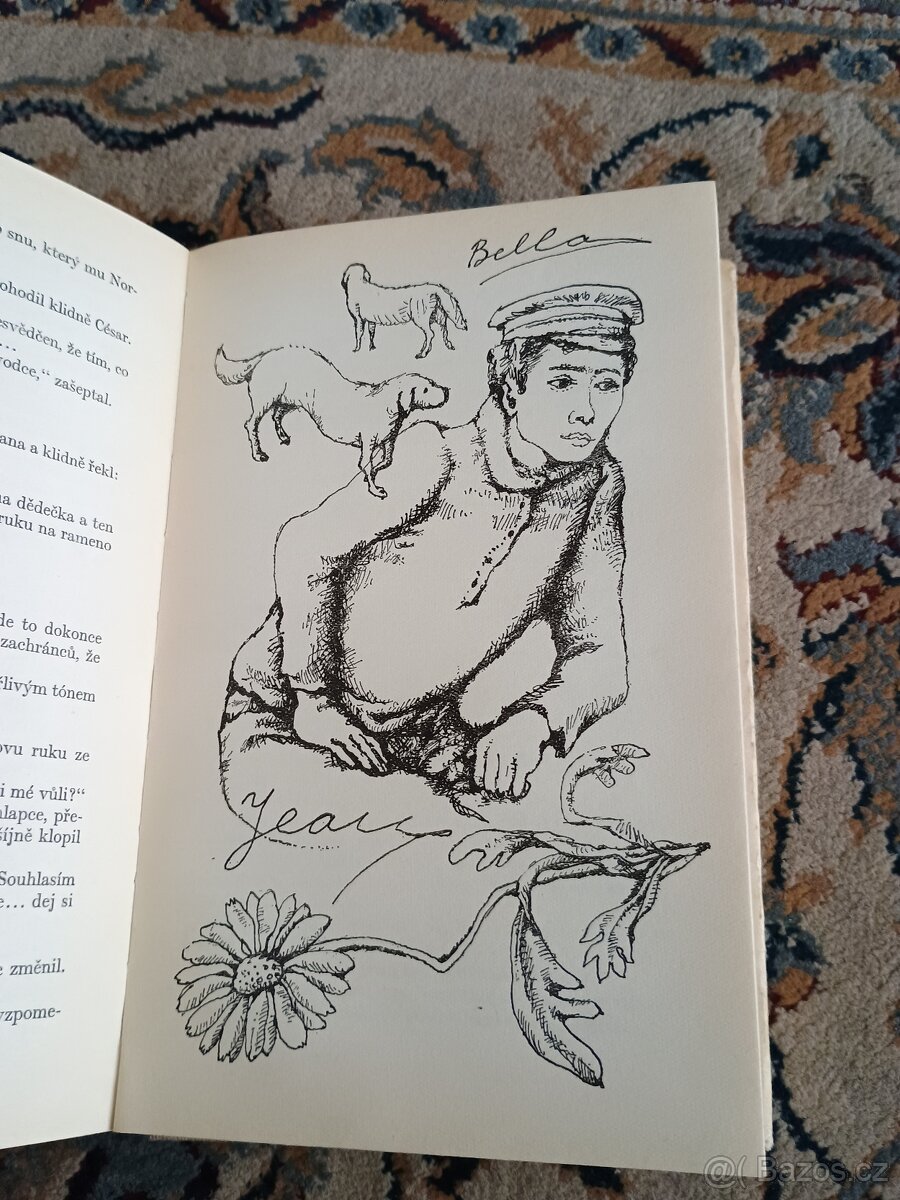 Cécile Aubry: Bella a Sebastián - 19