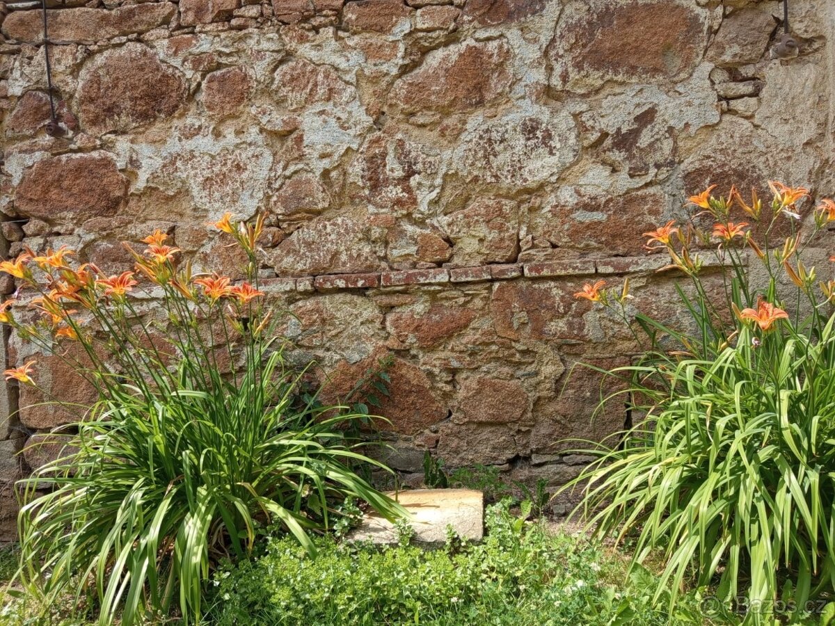 Větší dům k bydlení i podnikání - 19