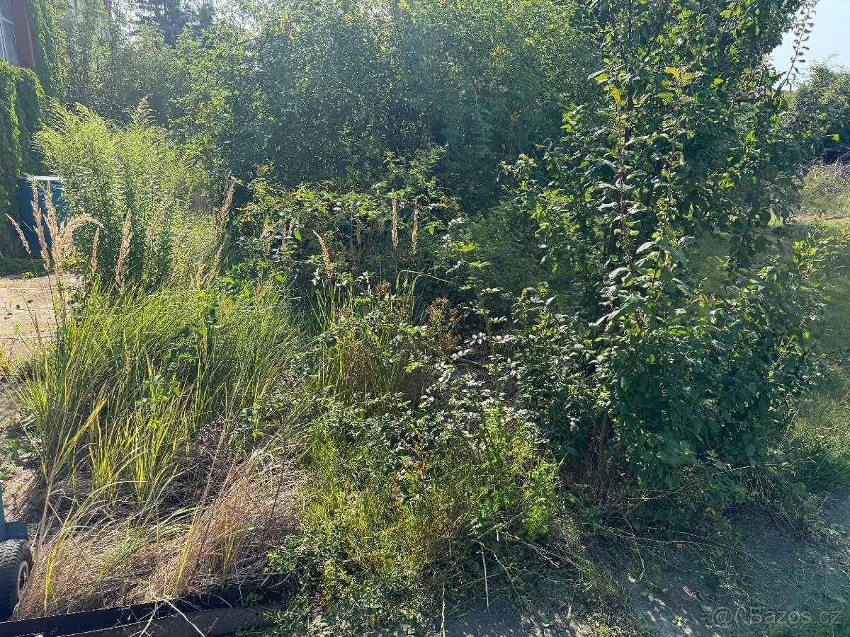 Údržba zeleně - 19