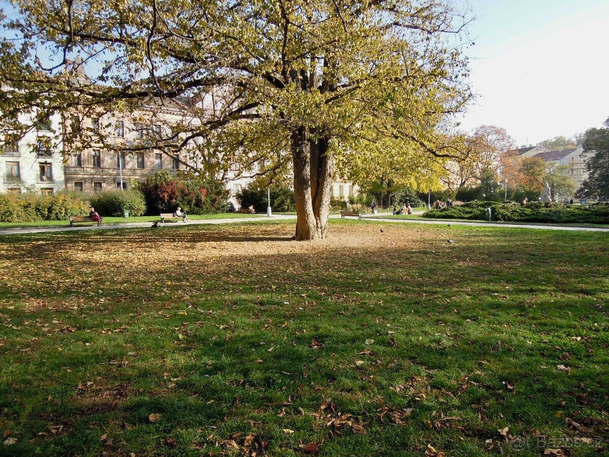 Krásný velký byt s garáží v centru Brna-Údolní ulice - 19