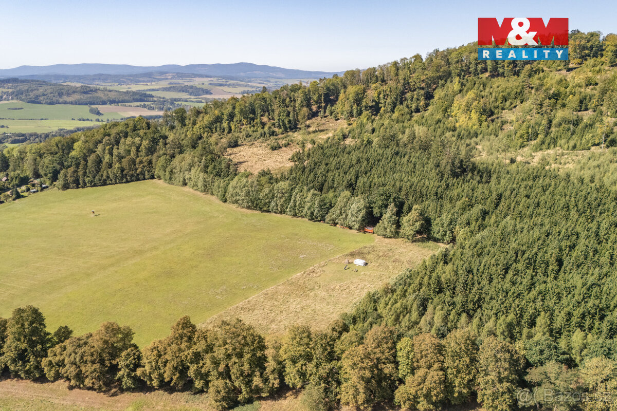 Prodej louky, 5287 m², Kdyně - 19