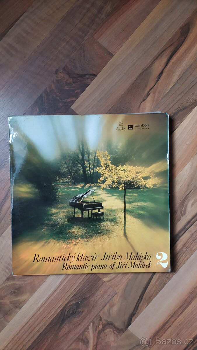 Gramofonové desky - 19