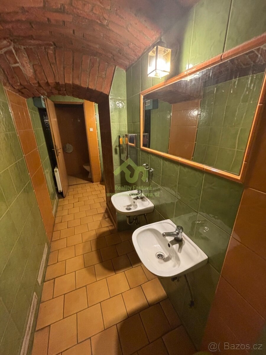 Pronájem prostorů pro provoz restaurace v centru Plzně - 19