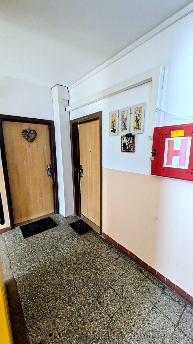 Byt 2+1 s lodžií v centru (52m2) - 19