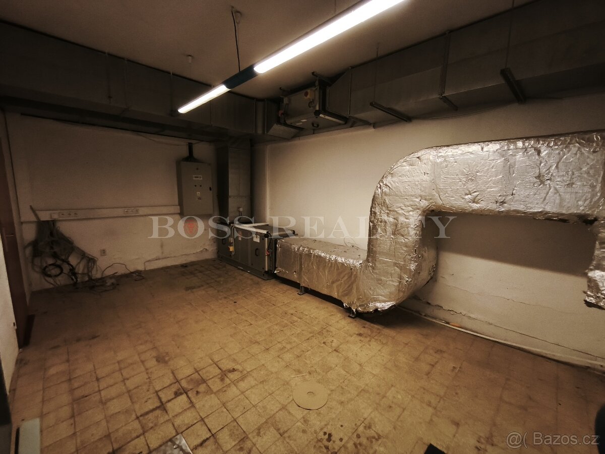 Pronájem obchodního prostoru 268 m² Kollárova - 19