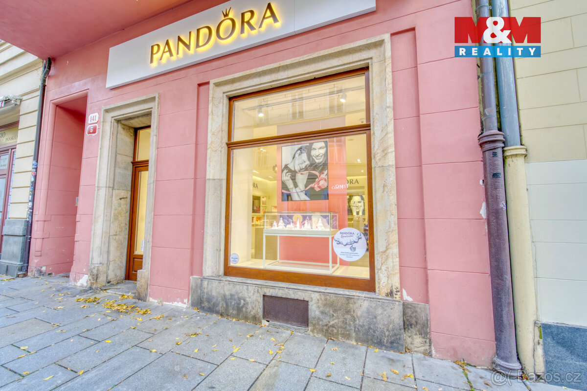 Pronájem obchod a služby, 116 m², Plzeň, ul Bedřicha Smetany - 19