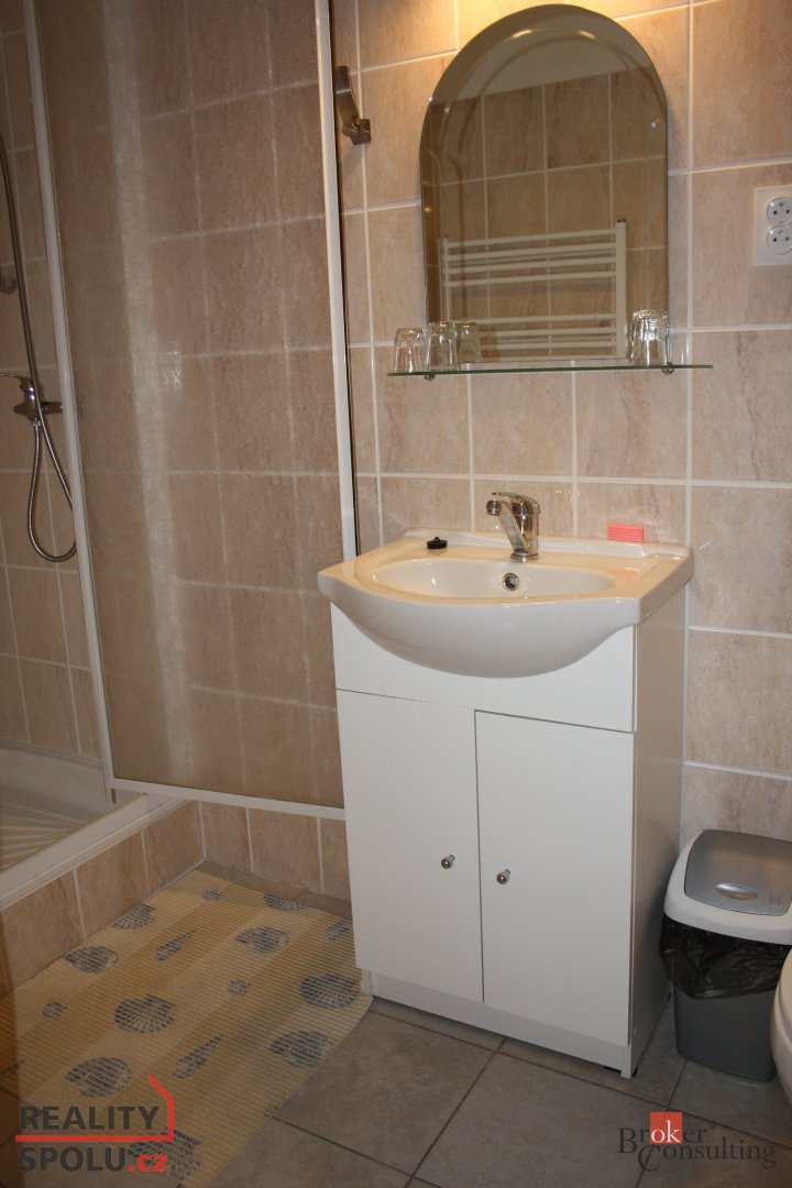 Prodej, komerční/ubytování, 2115 m2, Pocheň , Široká Niva, B - 19