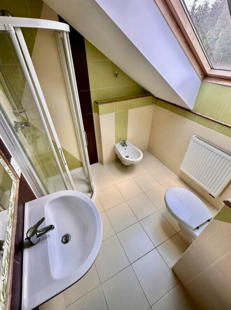 Prodej, rodinný dům, 314 m2, Karlovy Vary - Mezirolí - 19