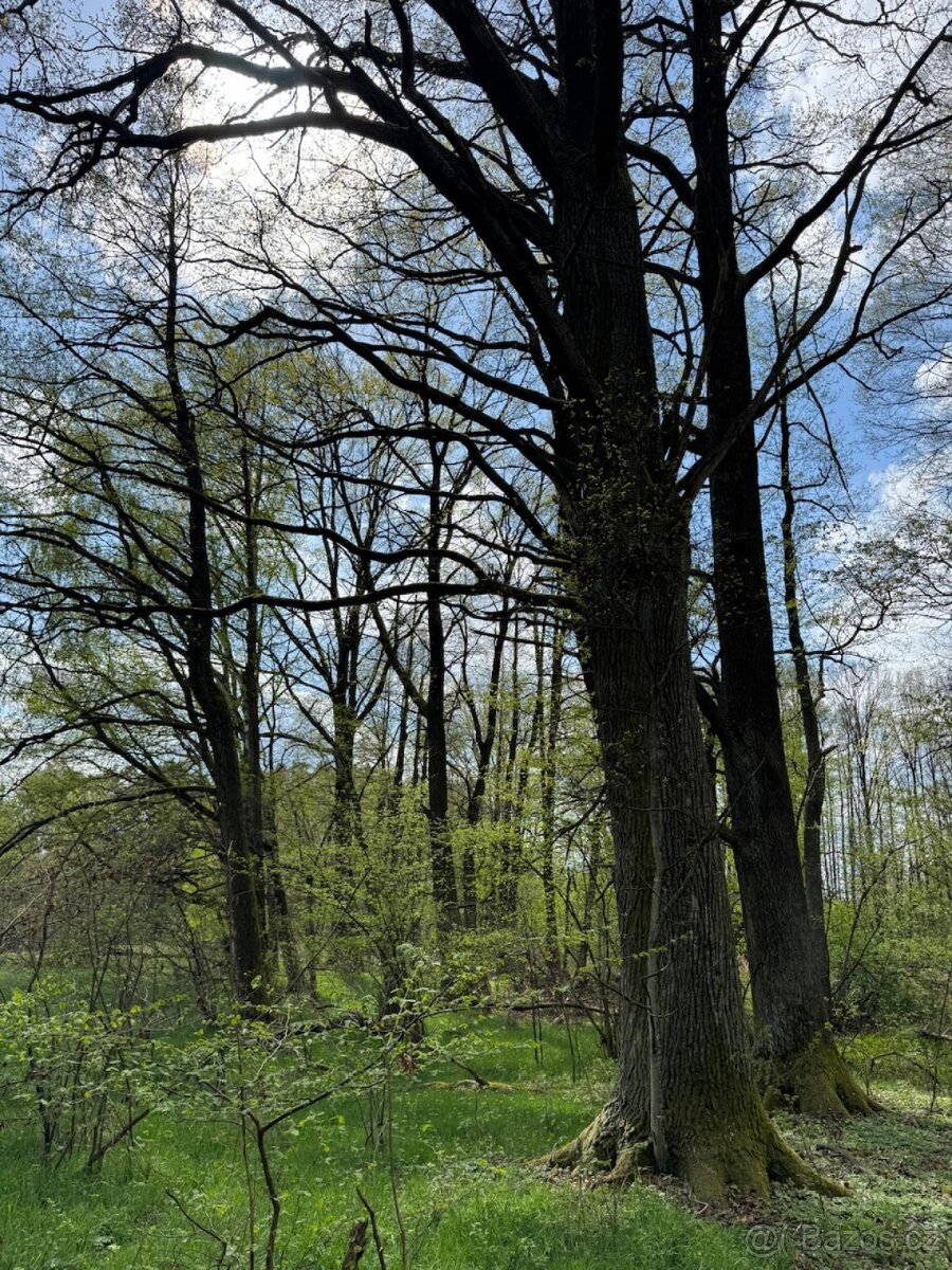 Prodám pozemky v katastrálním území Mníšek - 19