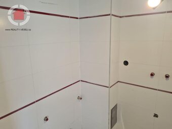 Prodej vily se třemi bytovými jednotkami ve Veselí nad Morav - 19