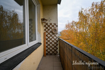 Prodej bytu 3+1, Soběšická, Husovice - 19