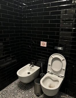 Pronájem bytu 3+kk 115 m² Revoluční, Praha - 19