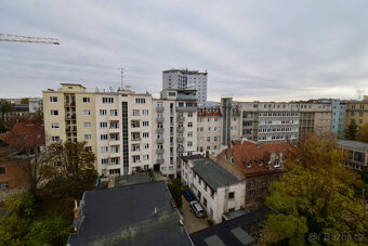 Pronájem bytu 1+kk, Veveří, Veveří, 46 m2 - 19