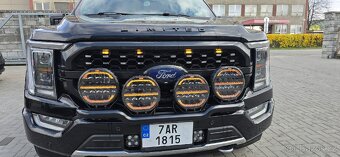 Ford F150 Platinum 4x4 5.0l V8 - 19