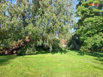 Prodej zahrady, 719 m², Město Albrechtice - 19