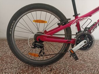 SCOTT 16 CONTESSA JR 24 - 19