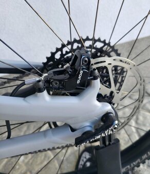 Horské kolo Specialized Stumpjumper Comp Alloy M5 2020 29″ - 19