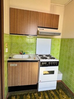 Prodej RD s velkou zahradou, Horní Studenec. - 19