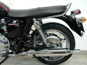 Triumph Bonneville T 100 - 19