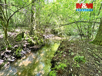 Prodej vodní plochy, 3255 m², Skalice u České Lípy - 19
