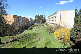 Pronájem bytu 3+kk, Jungmannova, Kuřim, 20000 Kč/měs, 72 m2 - 19