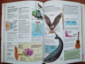 Různé dětské knihy a encyklopedie - 19