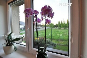 Prodej Rodinný dům, 93㎡ - 19