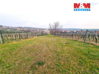 Prodej ovocného sadu, 4096 m², Starý Poddvorov - 19