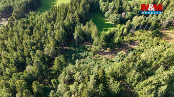Prodej lesa, 15707 m², Petrovice u Sušice - 19