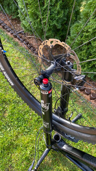 Canyon Strive CF 7.0 2019 - 19