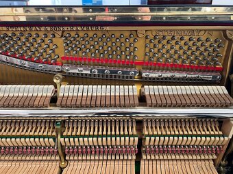 Steinway &Sons se zárukou 2 roky, doprava zdarma. - 19