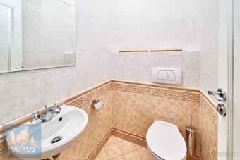 Pronájem luxusní vily 5+1/T (243 m2), zahrada (382 m2), bazé - 19